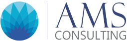 AMS Consulting